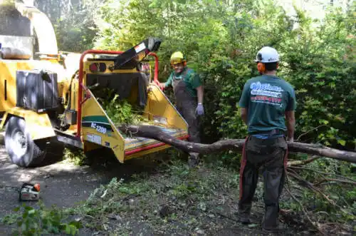 tree services Spanish Fort